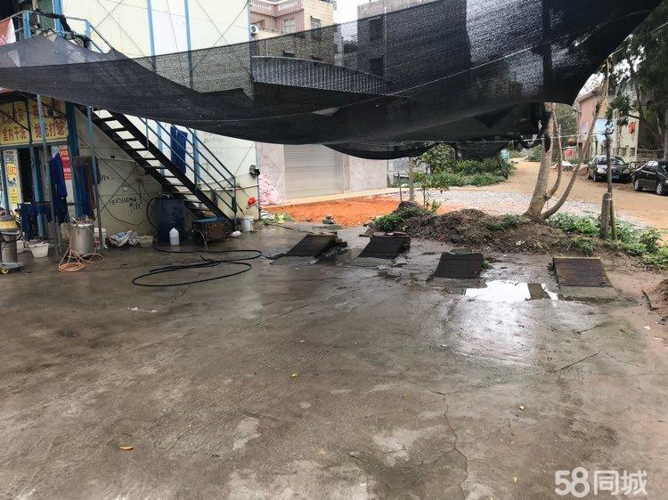 遂溪店鋪出租最新動態