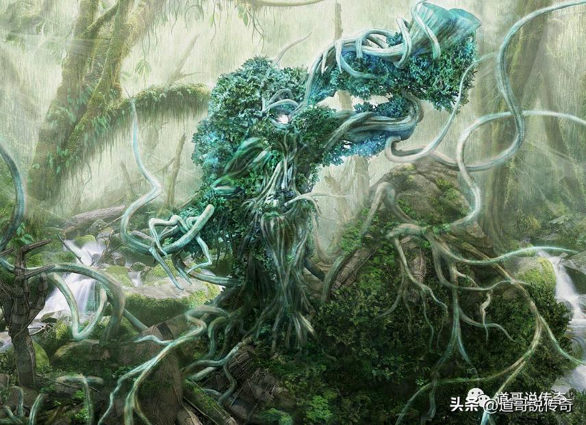 最新更新章節(jié)揭秘，神級(jí)龍衛(wèi)的傳奇之旅