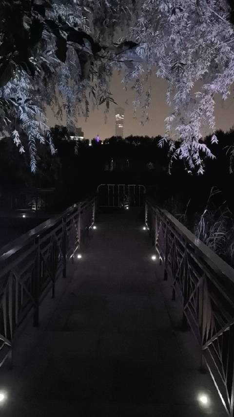 最新晚上視頻，探索夜色中的新世界