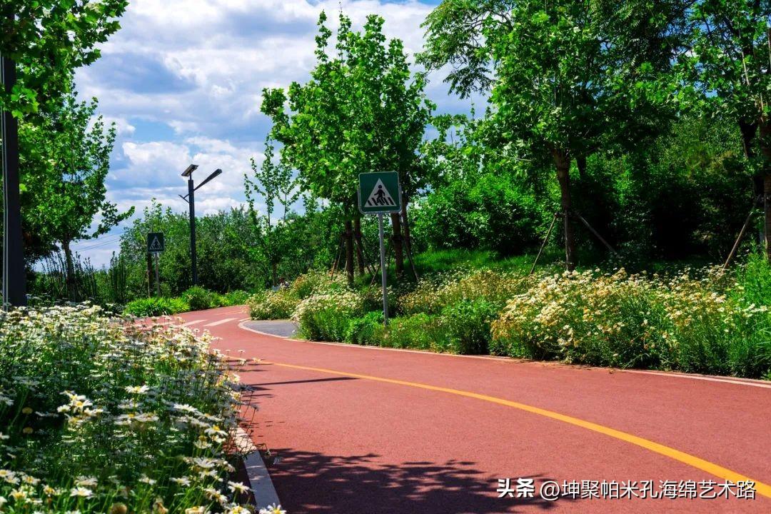 最新透水技術，推動城市建設的綠色革命