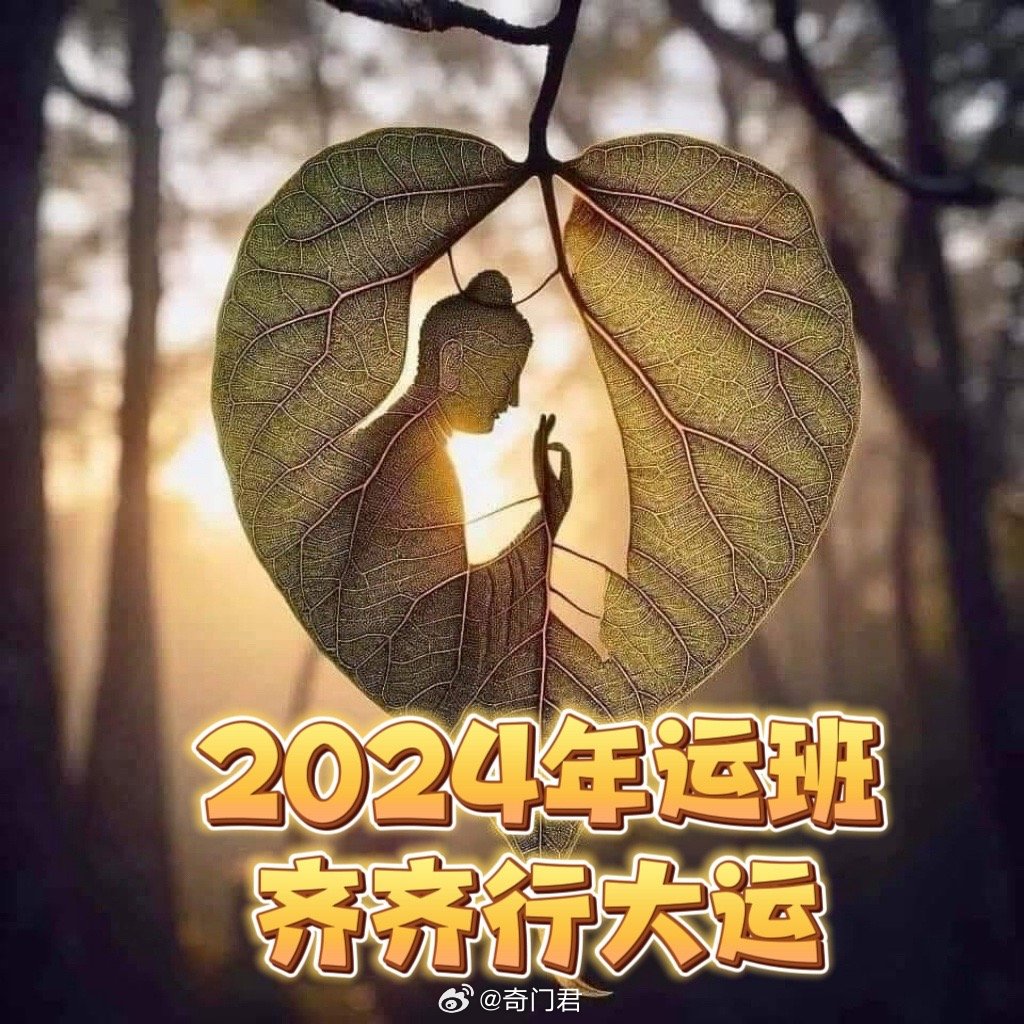 探索未來幸運之門，2024年一肖一碼一中一特的神秘面紗