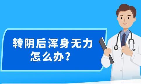 新澳精準資料免費提供，探索第265期的奧秘與價值