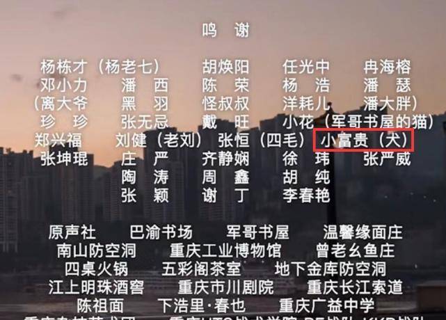 最準一碼一肖揭秘，老錢莊的精準預測背后的秘密