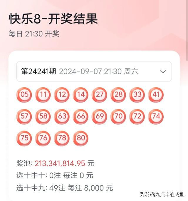 新澳2024今晚開獎結果，期待與驚喜交織的時刻