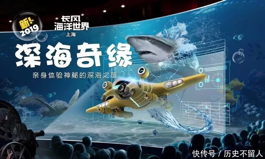 探索新澳資料正版免費資料的海洋，開啟知識共享的全新篇章