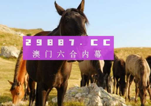 關于新澳門天天彩正版免費的一些探討