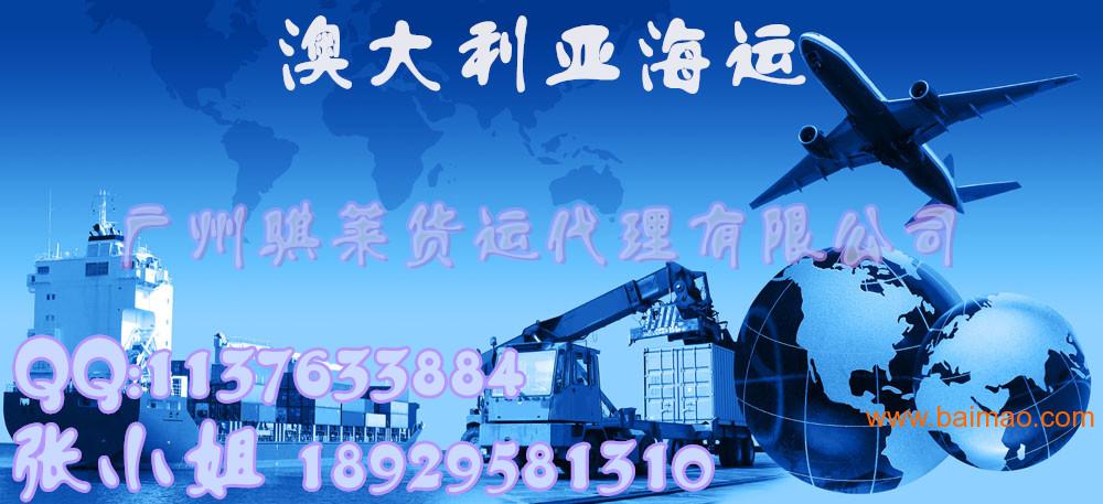 探索2024新澳天天免費資料，揭示隱藏的價值與機遇