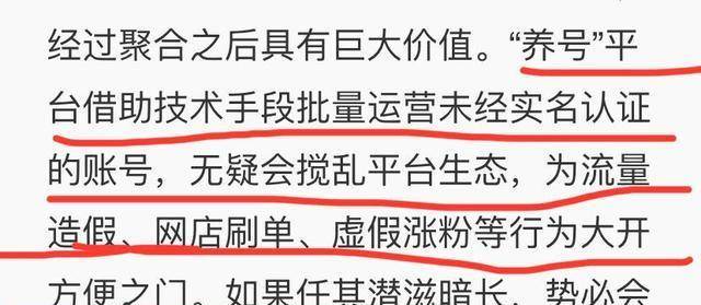 澳門三肖三碼精準100%黃大仙，揭示背后的違法犯罪問題