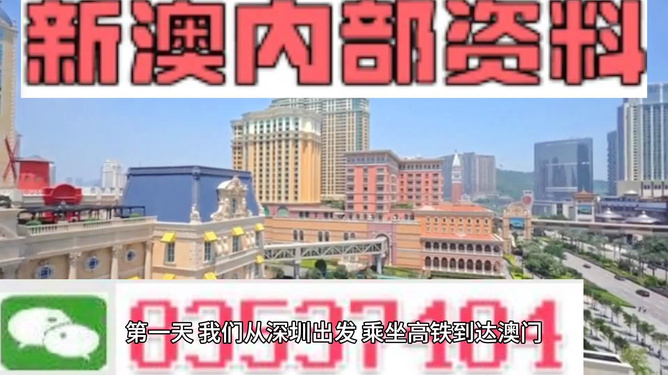 關于新澳精準正版資料的探討與警示——避免違法犯罪的重要性
