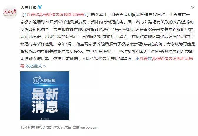 警惕網絡陷阱，關于新澳天天彩免費資料大全查詢的真相