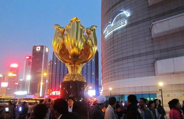 香港477777777開獎結果，探索彩票背后的神秘面紗