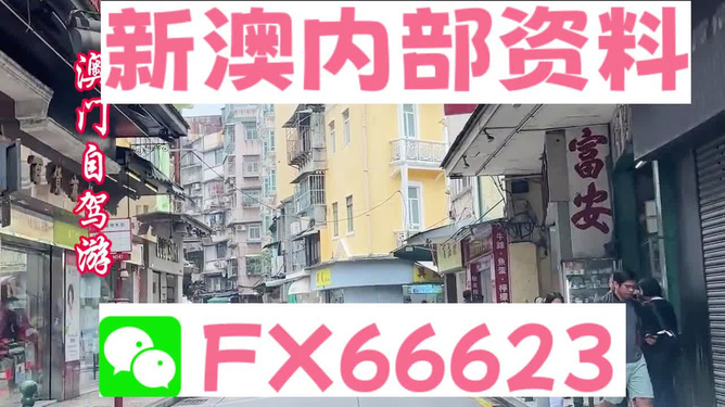新澳精準(zhǔn)資料免費(fèi)提供，警惕背后的違法犯罪風(fēng)險(xiǎn)