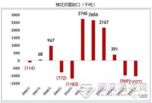 今日山東棉花最新價格動態分析