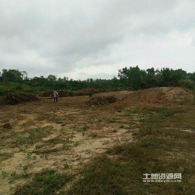 瓊海個人土地出售最新動態