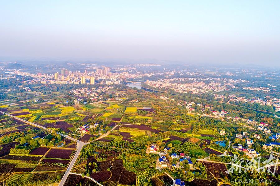 瀏陽市鎮頭鎮，新貌展現，一覽無遺的最新圖片