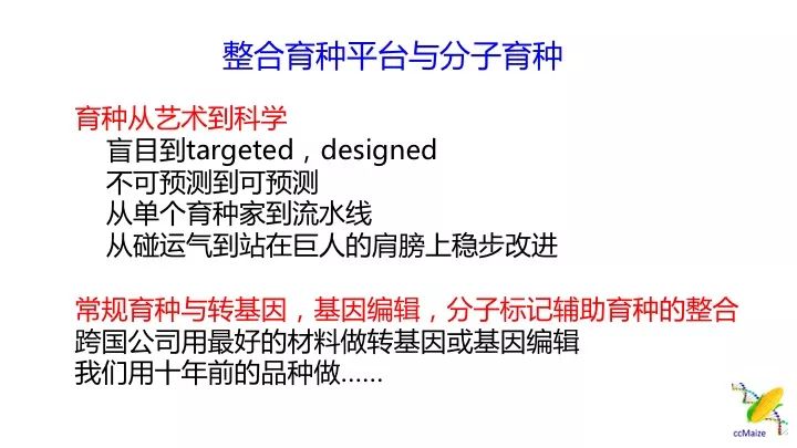 警惕網絡犯罪風險，新澳精準資料免費提供網背后的隱患與挑戰