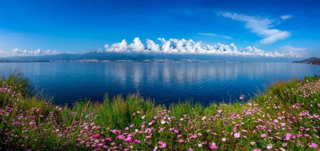大理洱海整治最新消息，邁向生態(tài)文明的堅(jiān)定步伐