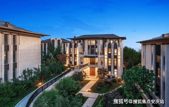 省委大院最新章節深度解析