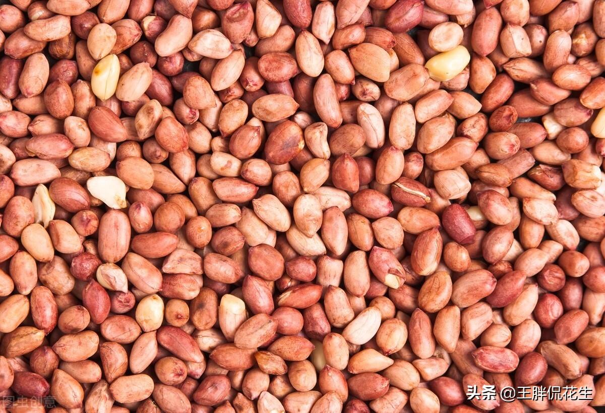 花生米的價格最新動態分析