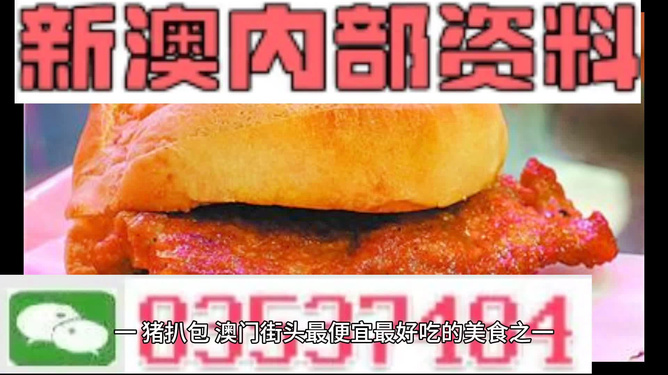 關于新澳門2024正版免費資料大全的探討——一個關于違法犯罪問題的探討