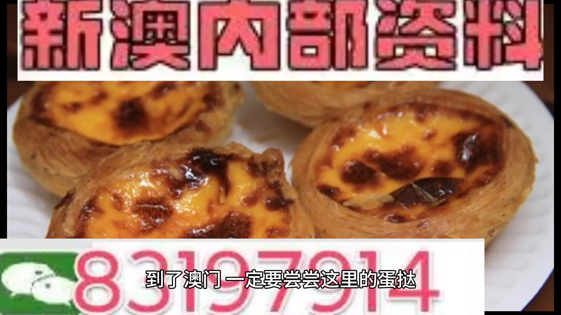 關于新澳門資料大全正版資料與家野中特的探討