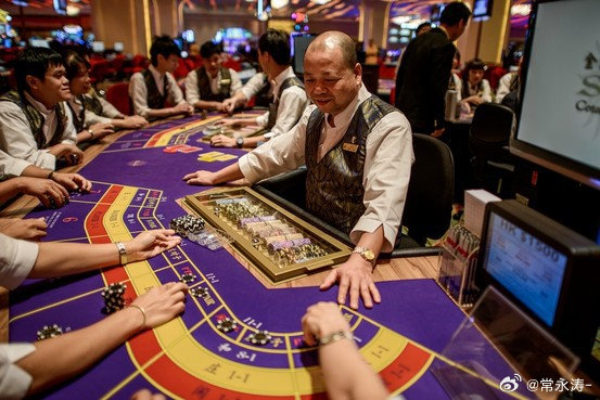 澳門管家婆一肖中特2019，揭露違法犯罪的真面目