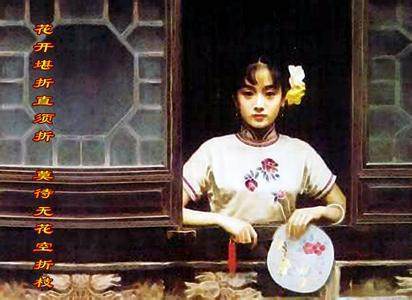 艷奴最新動態(tài)，探索艷奴文化的演變與發(fā)展