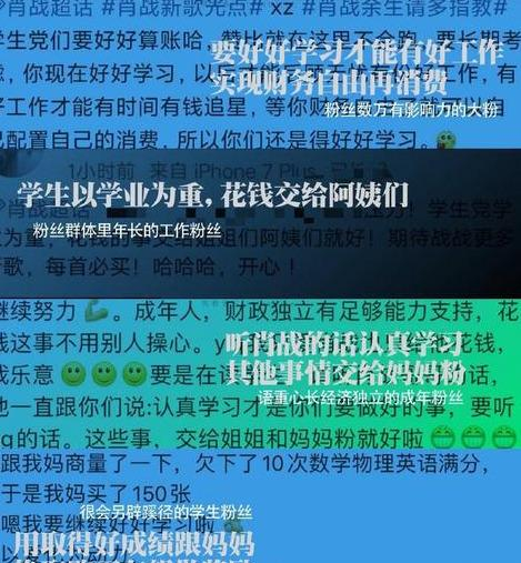 澳門三肖三碼精準1OO%丫一，揭秘背后的違法犯罪問題