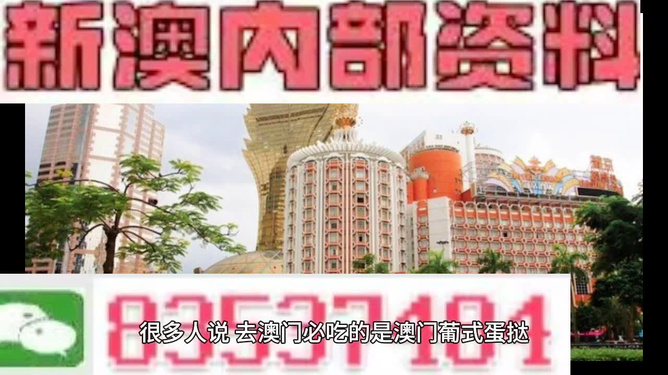 新澳門最準資料免費網站,新澳門最準資料免費網站——警惕背后的風險與挑戰