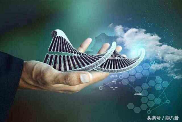 神話基因最新,神話基因最新研究，探尋人類起源與未來的神秘之旅