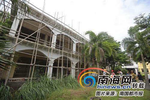 臨高最新違建,臨高最新違建現象深度解析