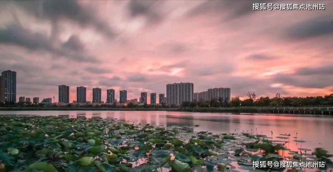 7777788888精準管家婆|網絡釋義解釋落實,精準管家婆，網絡釋義解釋落實的重要性