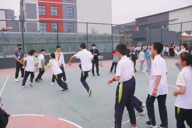2024年正版資料免費大全一肖|學(xué)科釋義解釋落實,探索未來教育，2024年正版資料免費大全一肖與學(xué)科釋義的深刻實踐