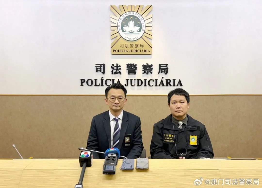 2024澳門天天開好彩大全香港|專利釋義解釋落實,澳門天天開好彩與專利釋義解釋落實，違法犯罪問題的探討