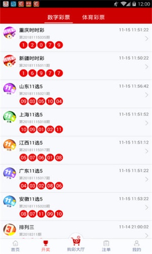 2024新澳門天天開(kāi)好彩大全正版|不屈釋義解釋落實(shí),新澳門天天開(kāi)好彩背后的不屈精神與積極落實(shí)的力量