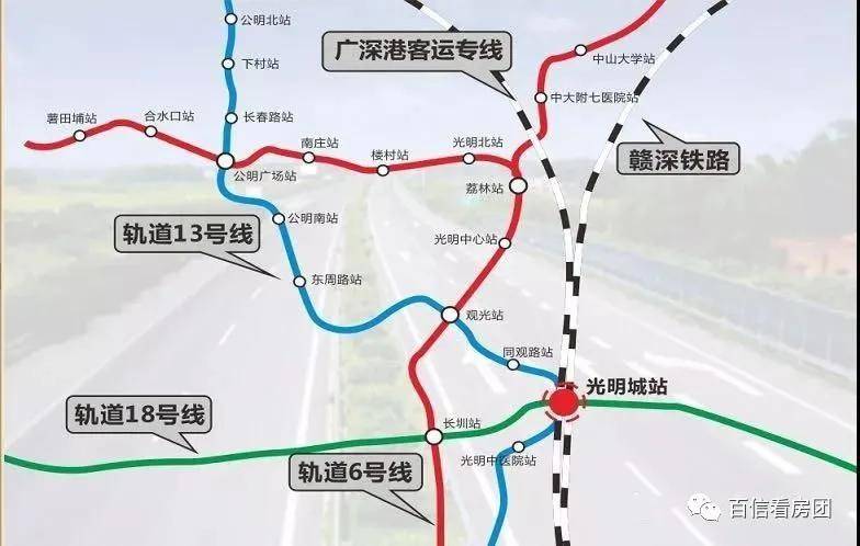 王中王彩票預(yù)測，智計解答、解釋與落實——健身版深度探討