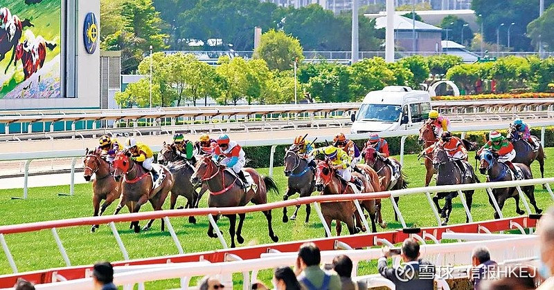 探索香港賽馬，2024全年免費資料與穩妥解答解釋落實之路