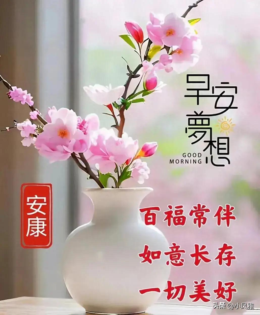 2024天天彩資料大全免費與快速反應方案分析——擴展版