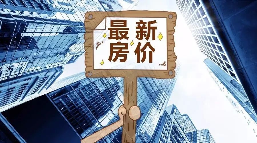 澳門最精準正最精準龍門圖片實地驗證數據設計緊湊版，探索真實與精準的魅力