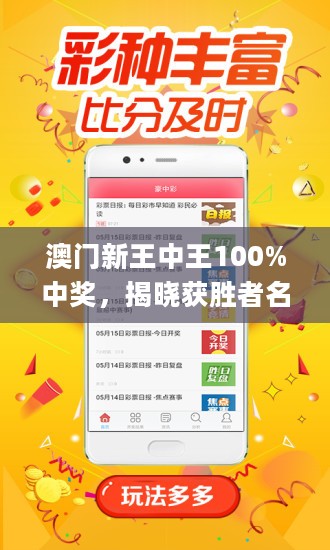 關于新澳門王中王免費學問解答解釋實施的探討——警惕潛在風險與違法犯罪問題