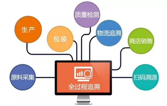 一碼一肖，高度協同方案落實與轉變的重要性——對犯罪預防與打擊的新視角