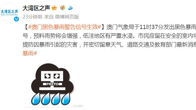 澳門新三碼必中一免費，新手版解答解釋與風險警示