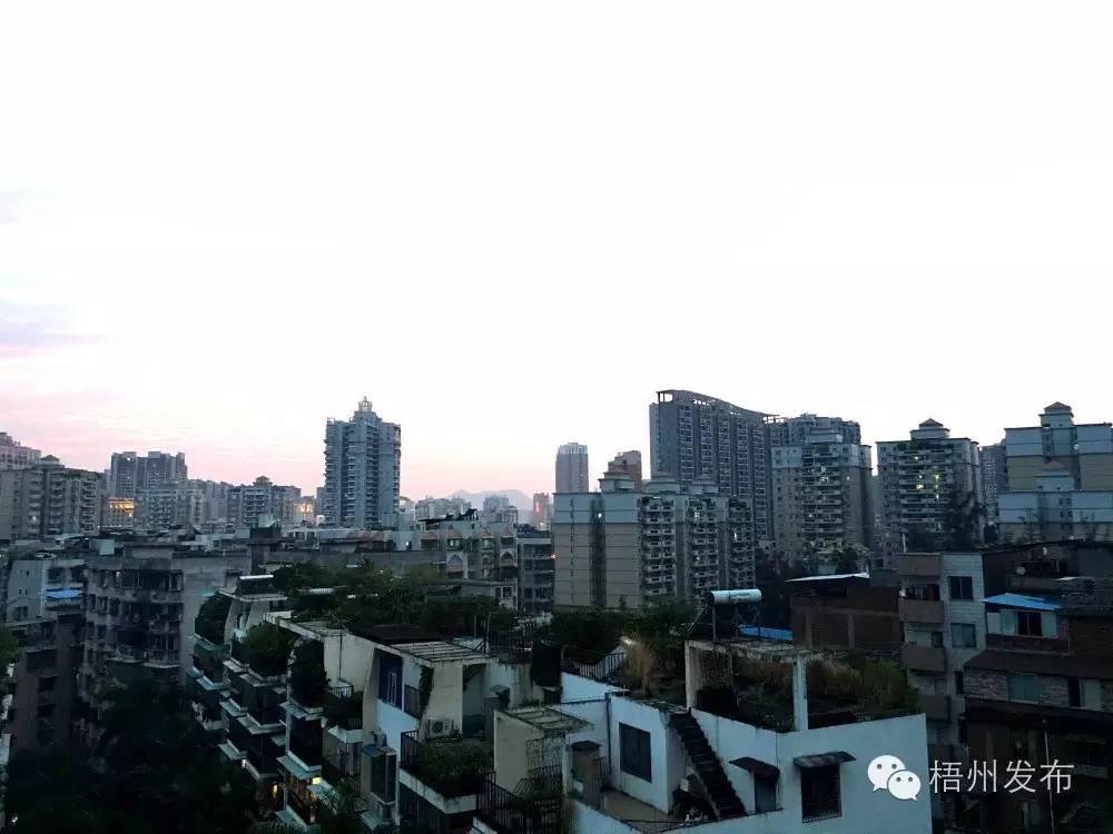 最準一肖，深度解析與明晰解答