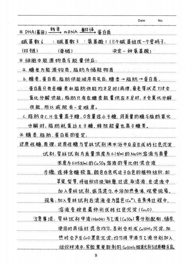 今期四不像圖解讀，速度解答解釋與落實(shí)的策略
