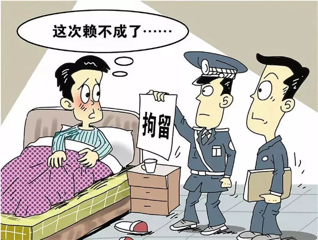 關于一碼一肖與明智解讀方案執行的探討——警惕違法犯罪風險