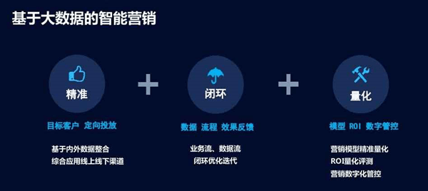 一肖一碼一一肖一子，深層設計策略數據專用版的重要性及其運用