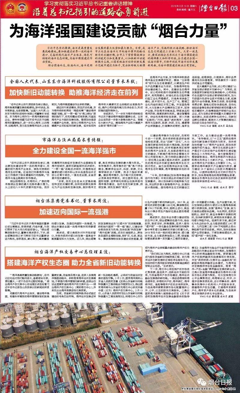 煙臺最新公告，城市發展與民生改善的新篇章