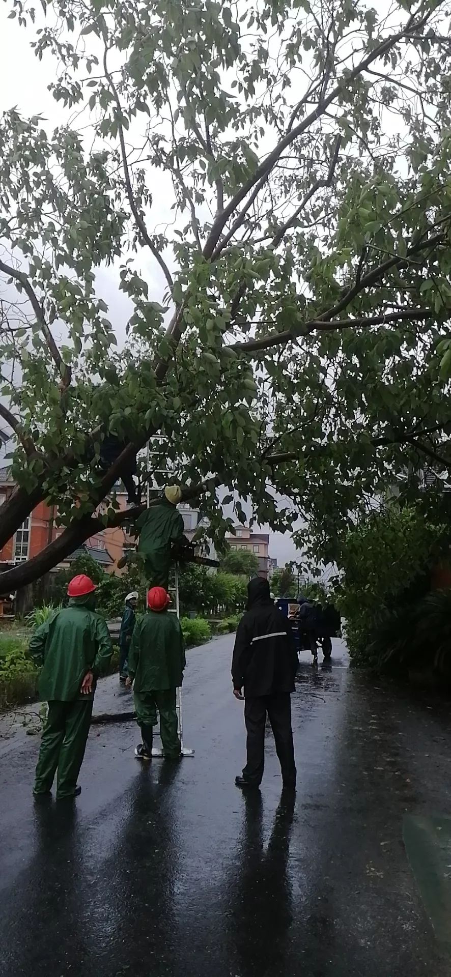 丹東遭遇最新臺風，風雨中的堅守與應對