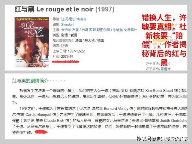 白小姐精準免費四肖，揭秘背后的秘密與真相
