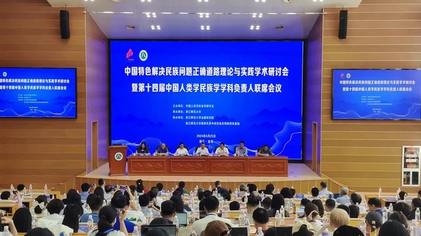 關于三碼中特的資料及其相關法律問題探討